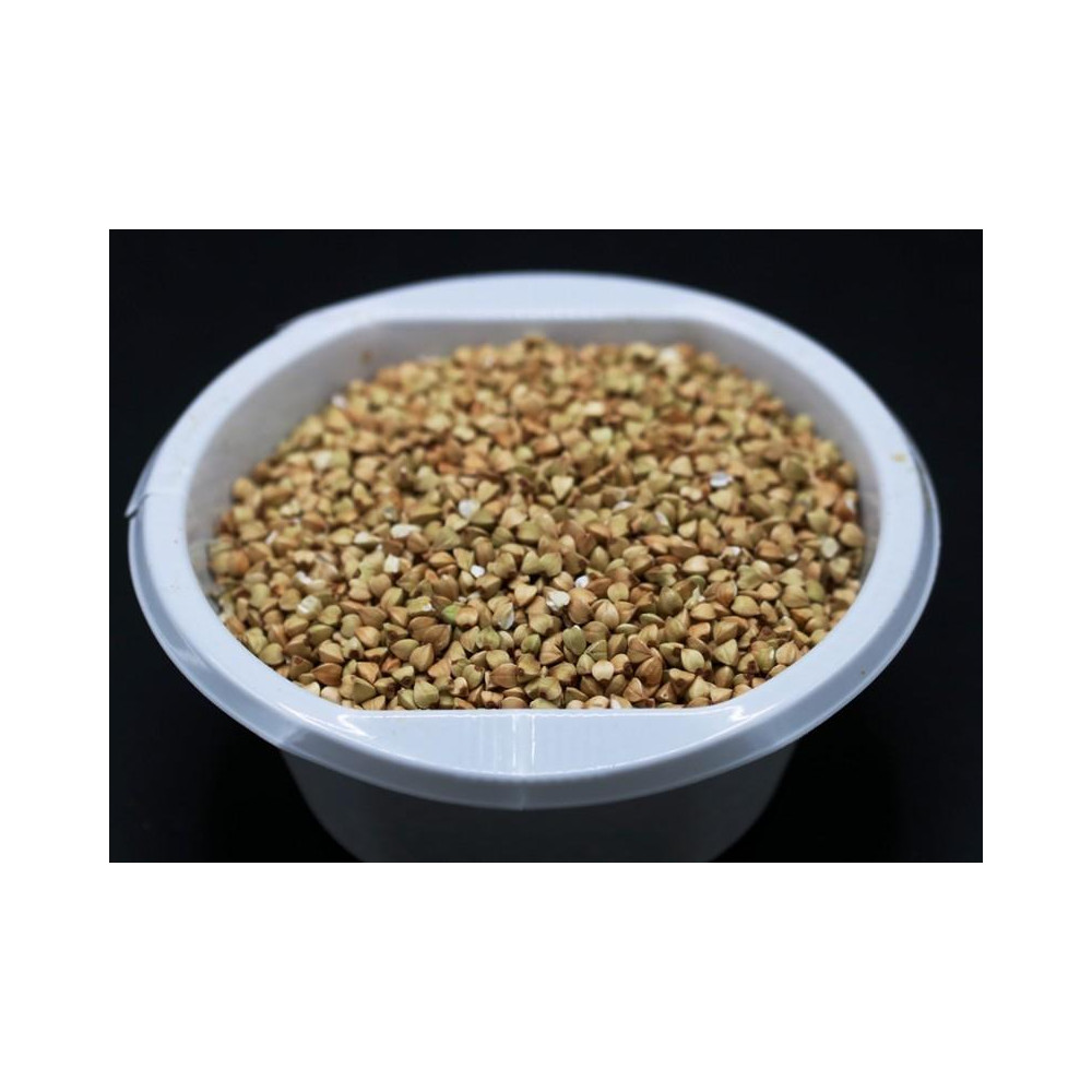 TRIGO SARRACENO B. 1Kg.